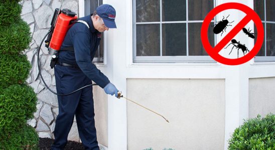 Seyitgazi Dezenfeksiyon böcek ilaçlama ve haşere kontrolü — ilaclama-tr.com